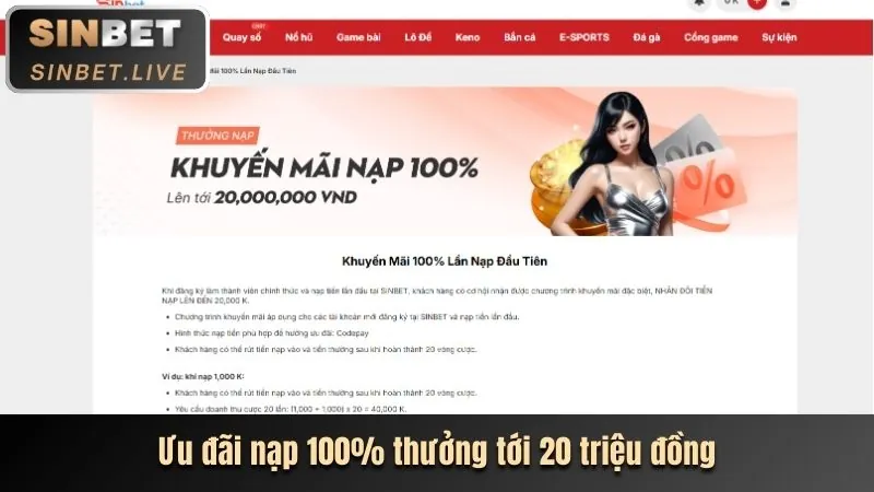 Hoàn trả hàng ngày/tuần tại tải Xin88